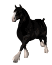 Avatar de Arachi