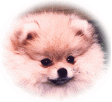 Avatar de flodu10