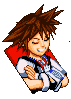 Sora