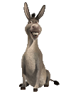 Pipo