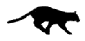 Avatar de socom