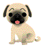 Avatar de alexandrie