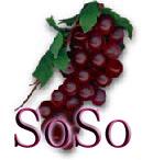 soso2