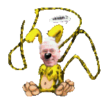 jipi