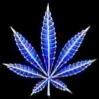 Avatar de Mr.MiC