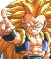 Avatar de maitre vincent