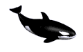 orcaab