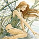 Elwynna